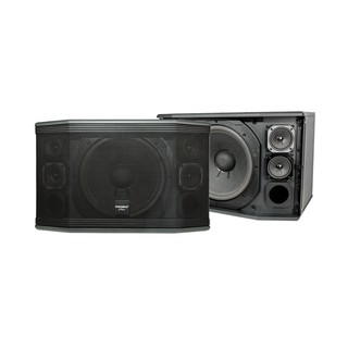 [Mã ELHACE giảm 4% đơn 300K] Loa Paramax Pro-C10