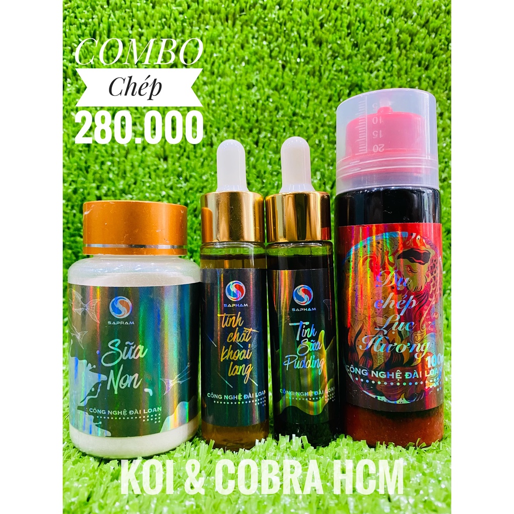 8 COMBO THẦN THÁNH CÂU CHÉP SAPHAM