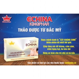 Echina tăng đề kháng