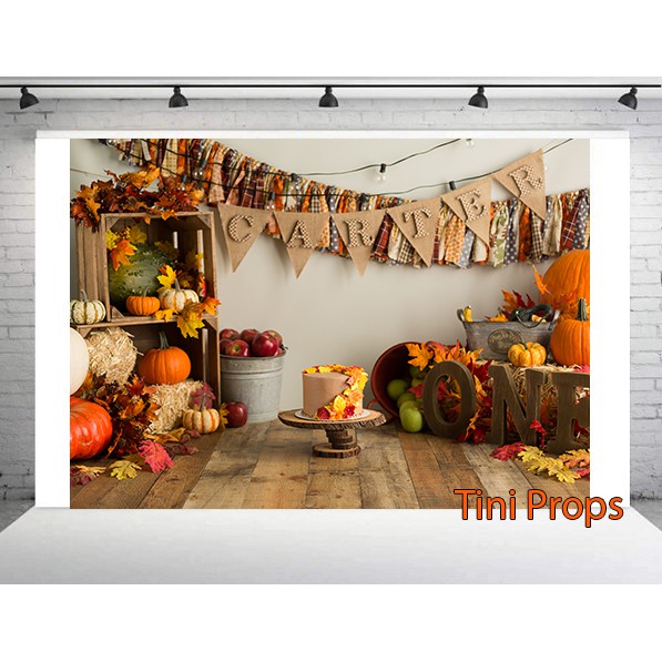 Tranh Canvas 1m5x2m - Phông chụp hình Baby 85