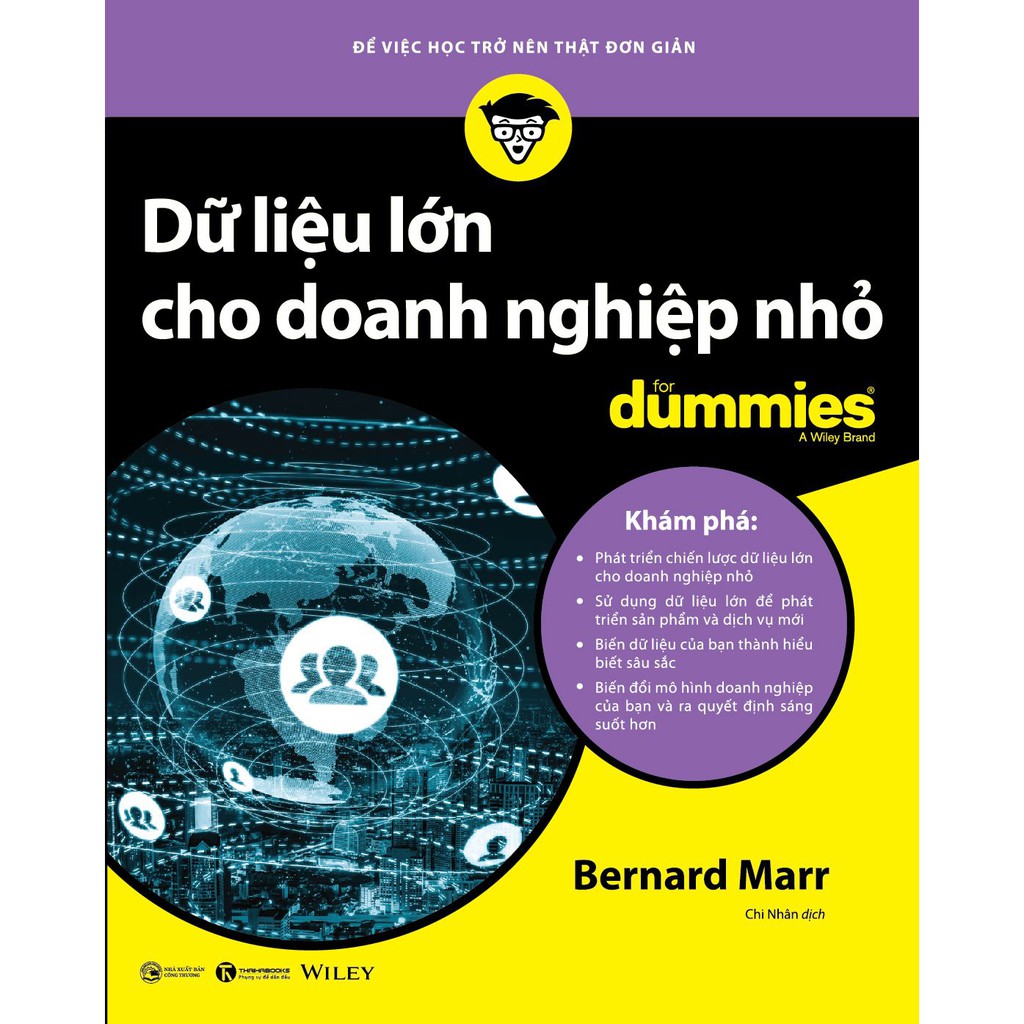 Sách - Dữ Liệu Lớn Cho Doanh Nghiệp Nhỏ For Dummies