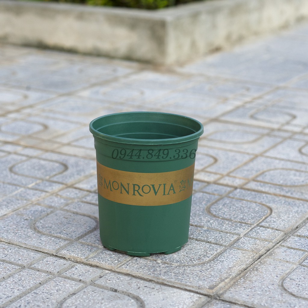 Chậu Monrovia VIỆT NAM 5GL