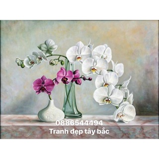Tranh tĩnh vật sơn dầu hoa lan