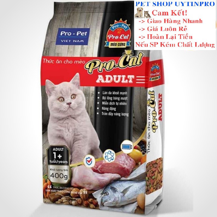 THỨC ĂN HẠT CHO MÈO Pro-Cat Aldult Túi 400g Xuất xứ Pro-Pet Việt Nam