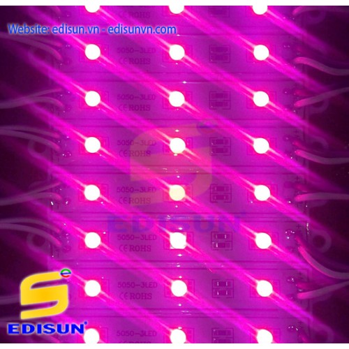 MODULE LED 3 BÓNG 5050 HỒNG