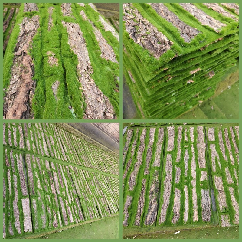 Lớp vỏ cây giả  dùng để dán trang trí tường, cột trụ nhà cửa
