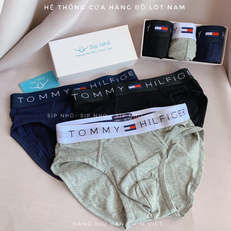 Quần lót tam giác tommy cotton thấm hút