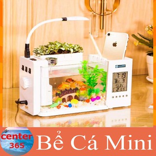 Bể cá mini