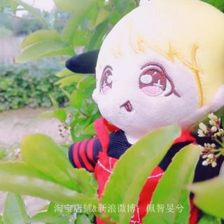 Doll (Búp bê thần tượng) BTS JiMin 20cm [hàng order]
