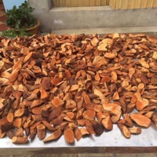 1KG  DỄ CÂY MÚ TỪN