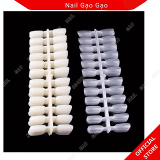 Móng vỉ tập sơn,vỉ móng bỏ quyển mẫu vỉ 120 móng