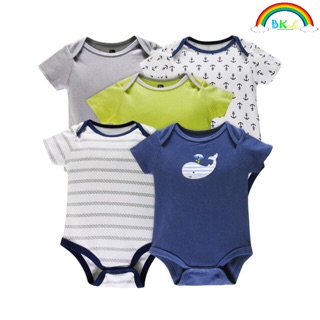 Set 5 body xuất