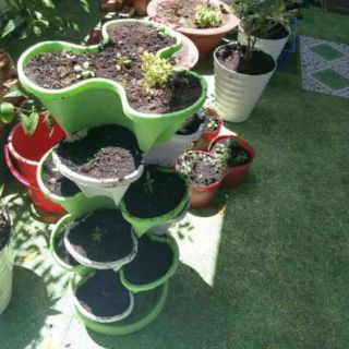 Tháp trồng cây 6 tầng Hàng VN chất lượng