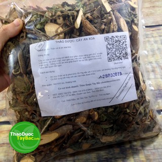 Cây An Xoa Chữa Bệnh Gan