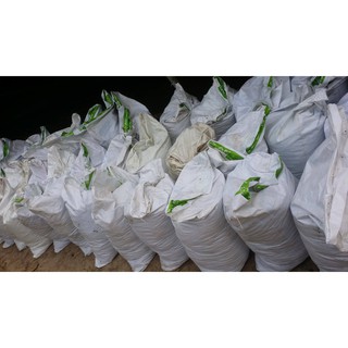 Phân trùn quế kích mầm bung đọt ra rễ 5kg