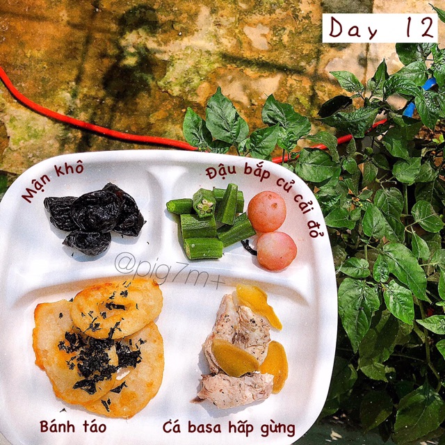 MẬN KHÔ TAYLOR  ĐẨY LÙI TÁO BÓN TỰ NHIÊN / ĂN VẶT MẸ BẦU / EATCLEAN / KETO / HEALTHY | BigBuy360 - bigbuy360.vn