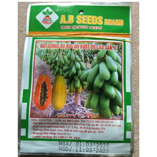 HẠT GIỐNG ĐU ĐỦ LÙN RUỘT ĐỎ