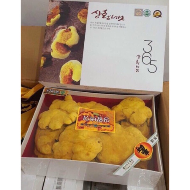 [CHÍNH HÃNG] NẤM LINH CHI THƯỢNG HOÀNG VÀNG 365 500G HÀN QUỐC