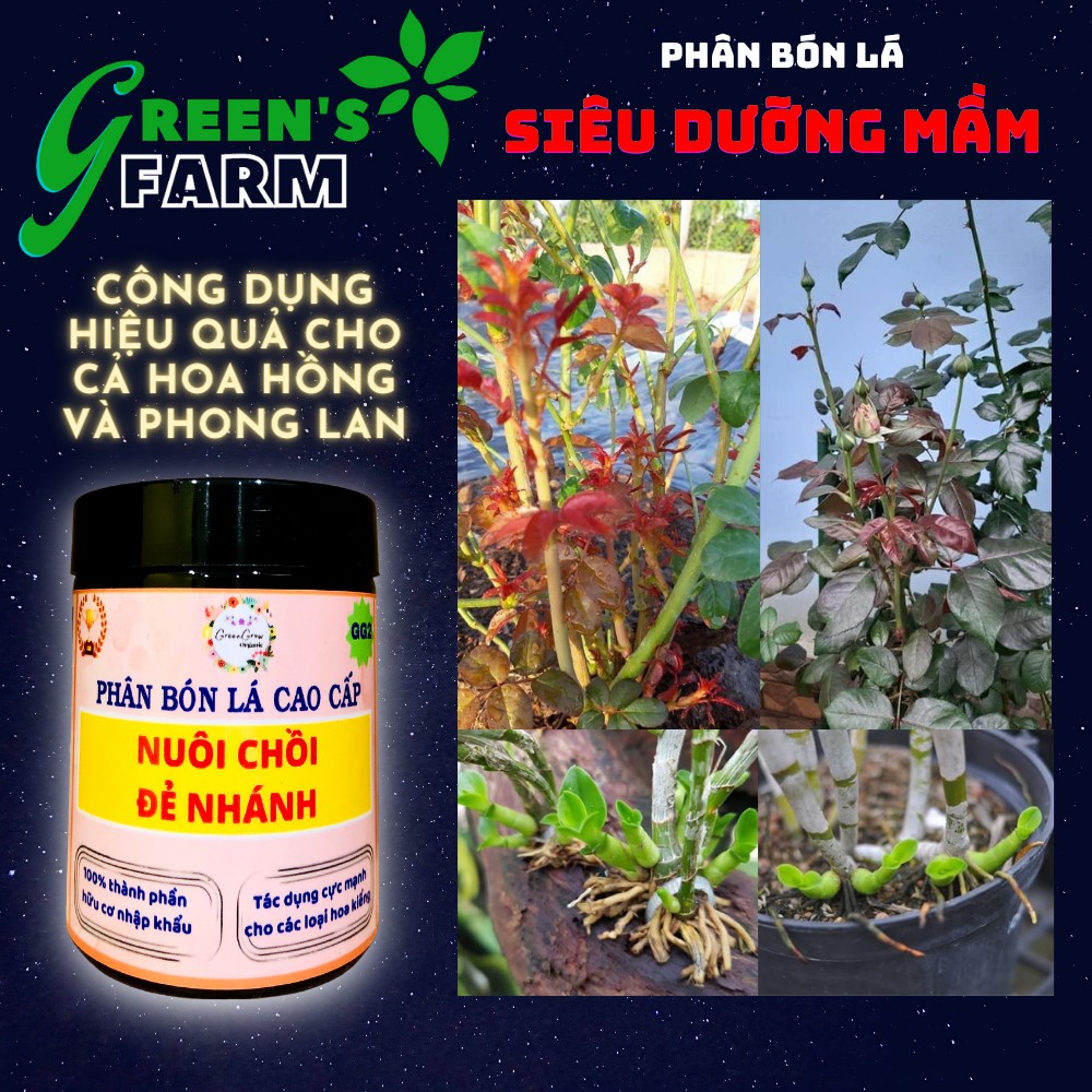 Chế phẩm SIÊU DƯỠNG MẦM GG2 – công thức hiệu quả nhất cho Hoa Hồng và Phong Lan – Shop GREEN FARM