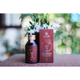 Tinh dầu Thất Diệp Chi 100ml - Tinh dầu xoa bóp