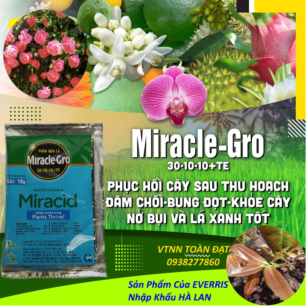 Combo bộ ba Phân Bón Lá Miracle - Gro (30-10-10) - (15-30-15) - (20-20-20), chuyên dùng cho hoa hồng, hoa lan