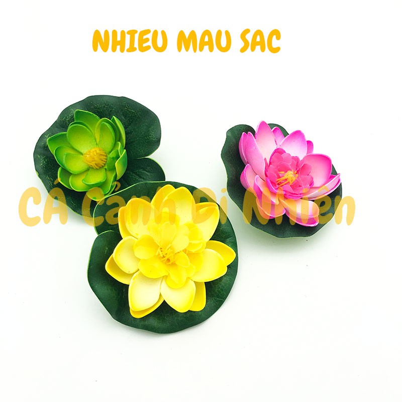 Hoa sen thả nổi mặt nước Size NHỎ BÔNG NỞ trang trí hồ cá cảnh