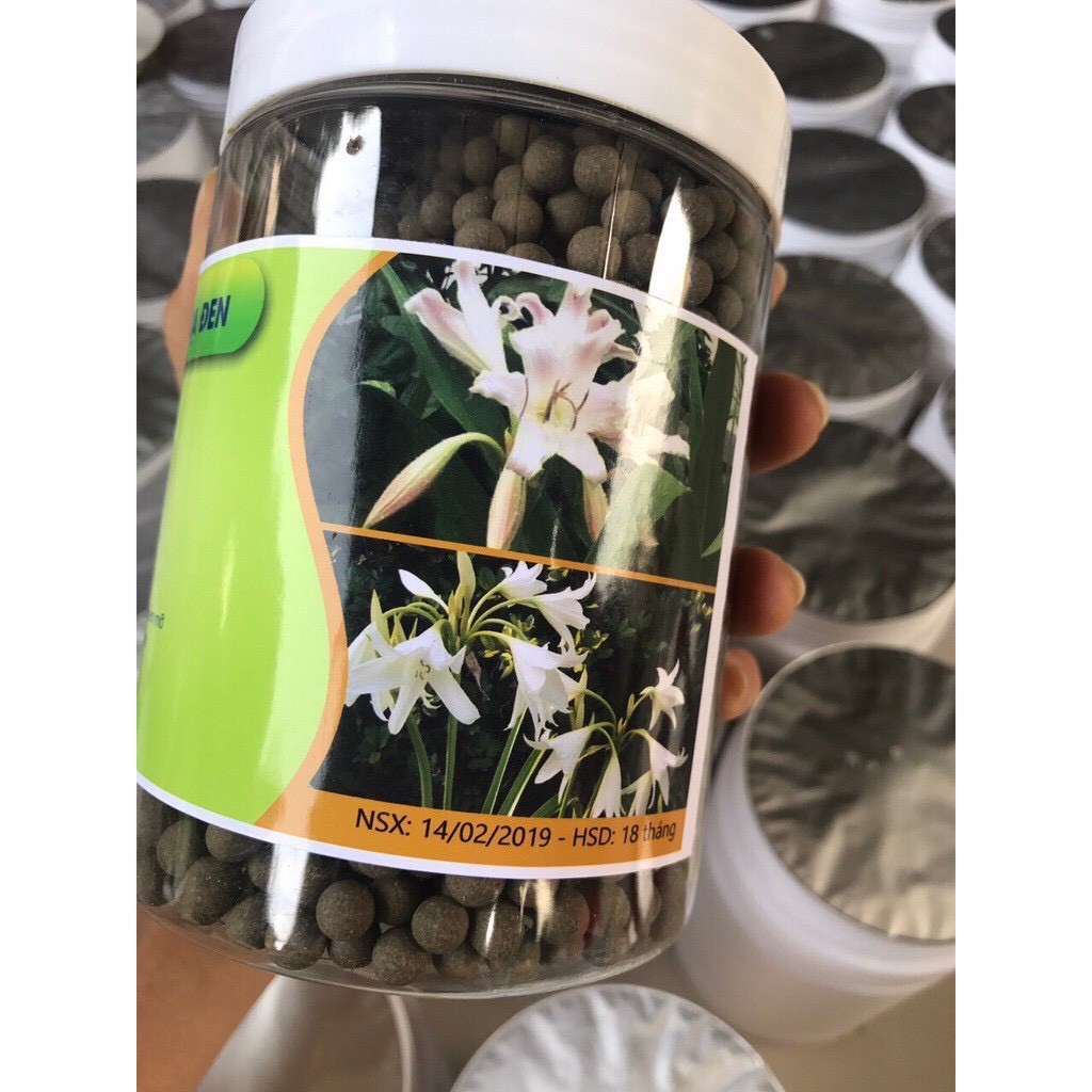 500gr viên trinh nữ hoàng cung cao xạ đen có giấy chứng nhận ATTP | BigBuy360 - bigbuy360.vn