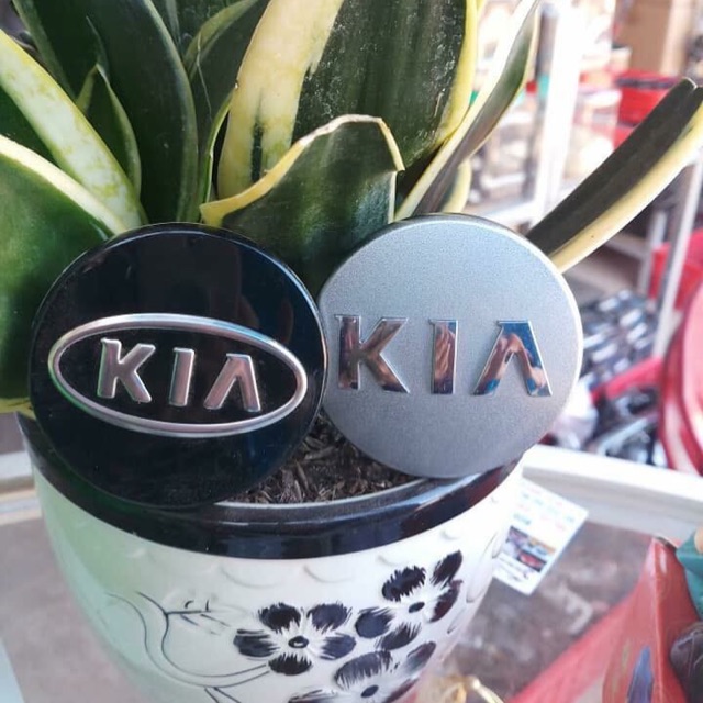 Chụp mâm KIA