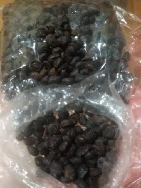 Hạt Dổi 100g