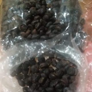 Hạt Dổi 100g