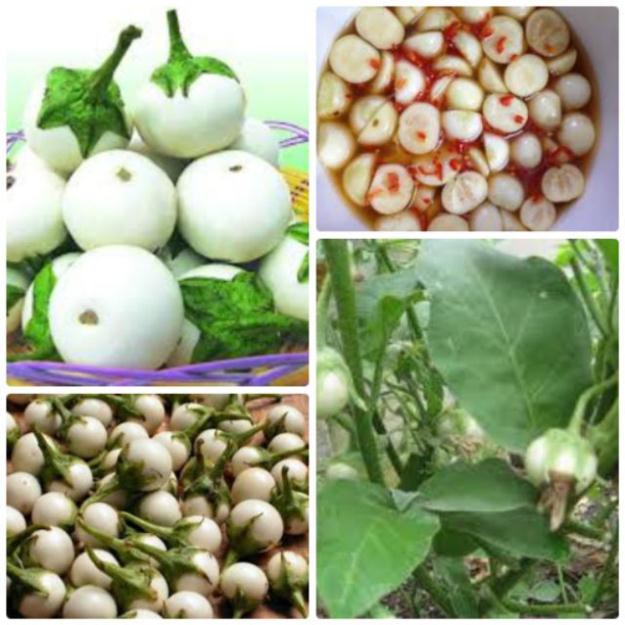 Gói 30 hạt giống cà pháo trắng