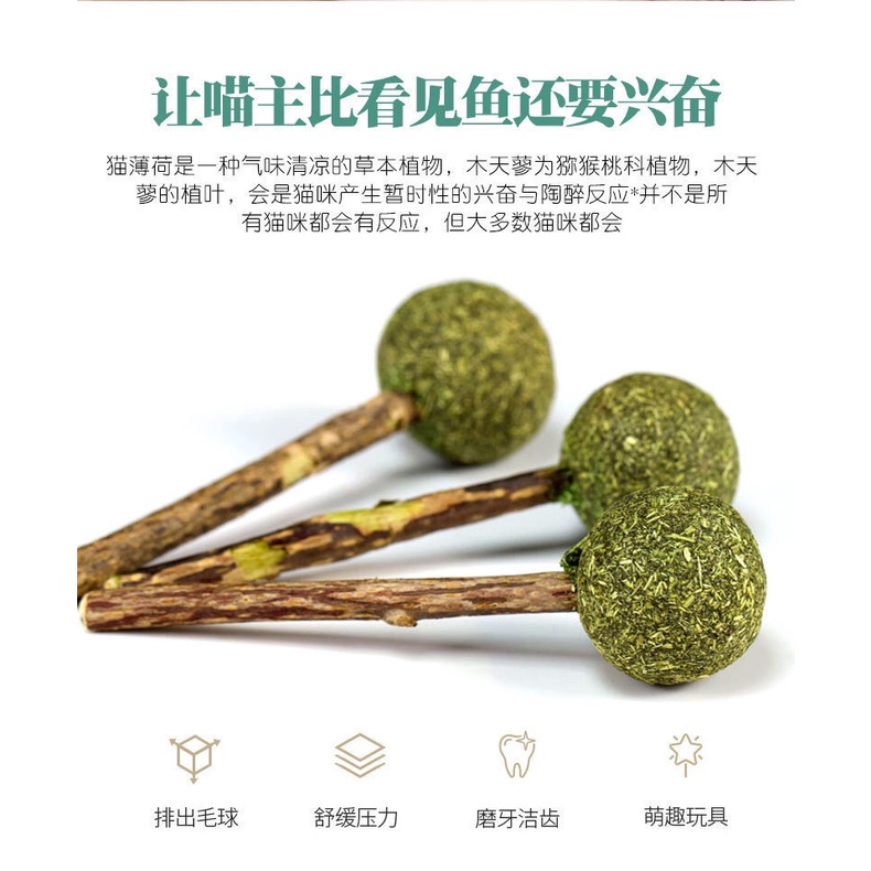 Gậy Đồ Chơi Huấn Luyện Hình Khủng Long Dành Cho Trẻ Em