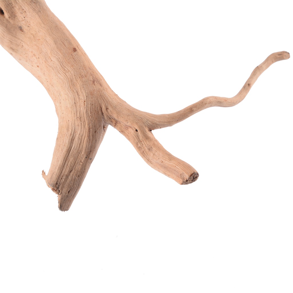 Đồ Trang Trí Hồ Cá Hình Thân Cây Gỗ ☆Bjfranchisesky