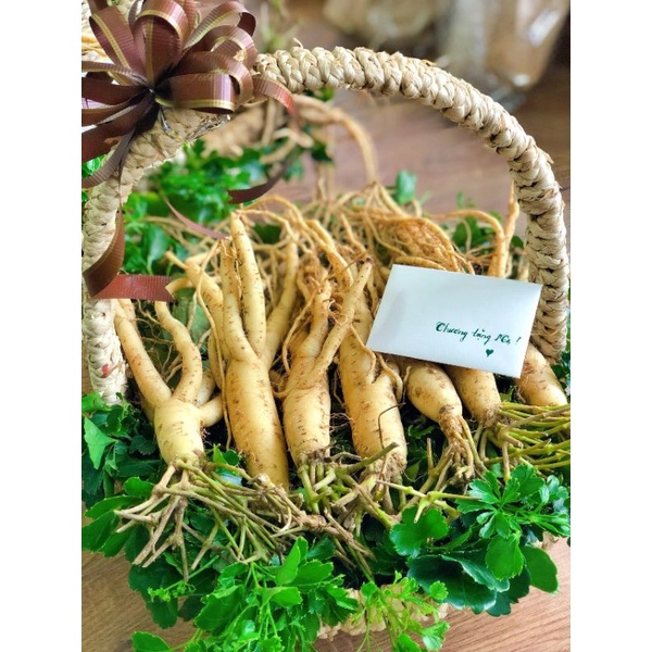 Sâm dây ngọc linh khô Kon Tum, bổ phổi kiện tỳ, bồi bổ 1kg | BigBuy360 - bigbuy360.vn