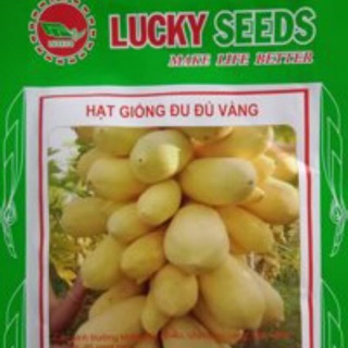 Hạt giống Đu đủ da vàng