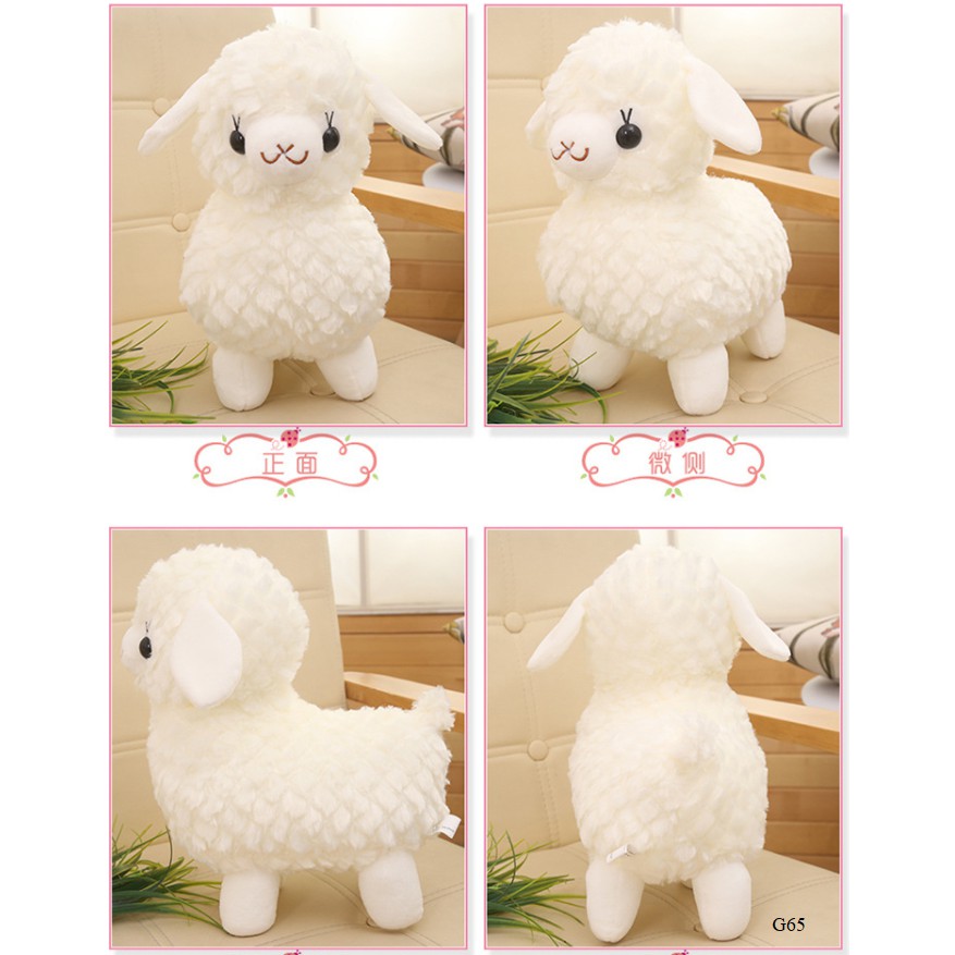 Gấu bông lạc đà cừu trắng Alpaca - Size 43cm