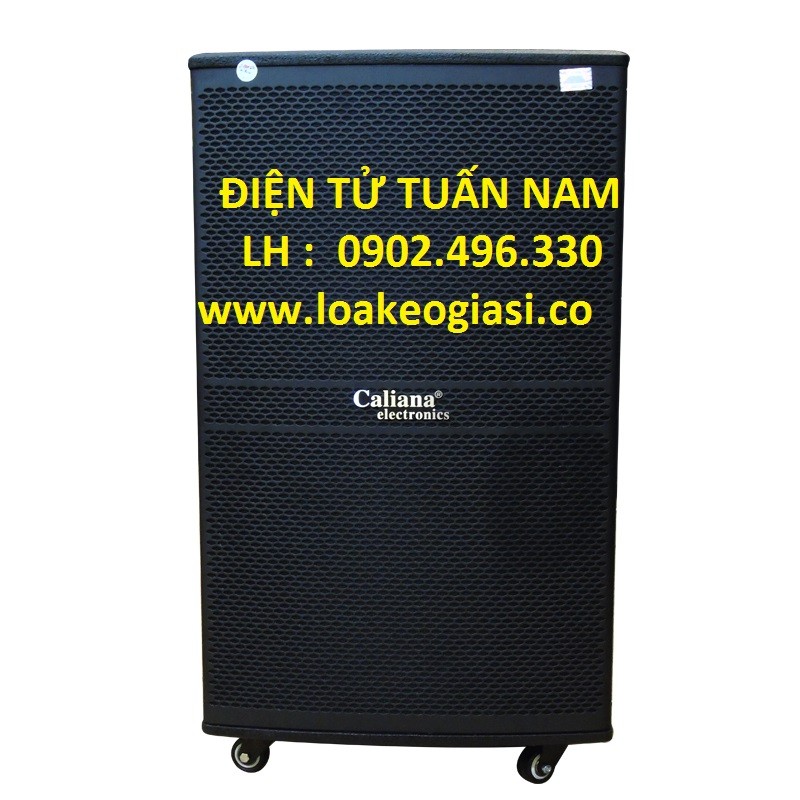 Loa kéo Cao Cấp CALIANA WD-15A