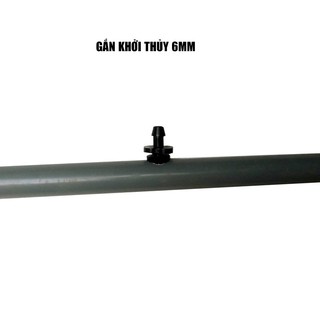 Combo 10 ron cao su khởi thủy 6mm