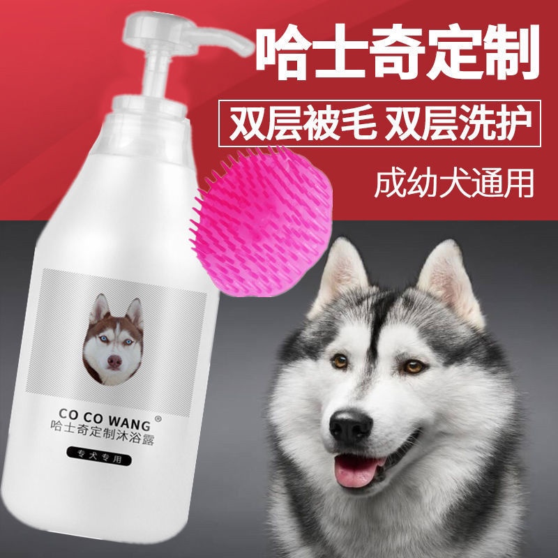 Sữa tắm đặc biệt dành cho chó husky, chống rụng lông, khử trùng và khử mùi, chó trưởng thành, chó con, chó con, dầu gội,