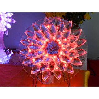 Hào Quang 20cm