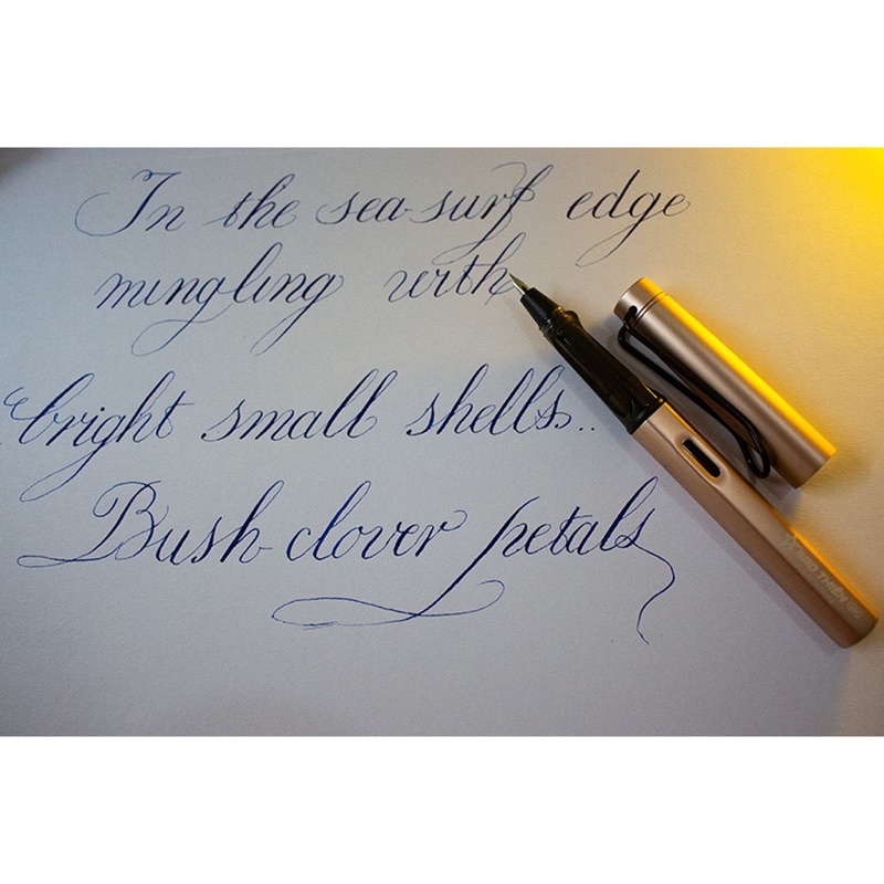 Bút máy luyện chữ đẹp LeTa 368 lá tre nhỏ thanh đậm tốt.
