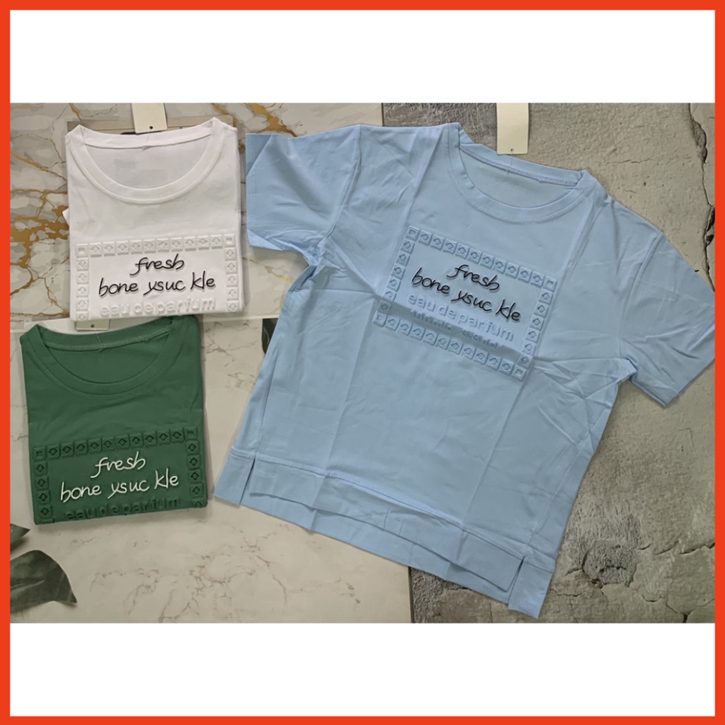 Áo thun nữ thời trang chất cotton mát cổ tròn tay ngắn form suông loại 1