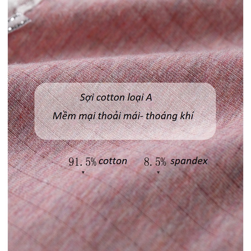 Quần Lọt Khe Cotton Tơ Viền Ren Mềm Mại Thoáng Khí Q186 NoBrandCotton