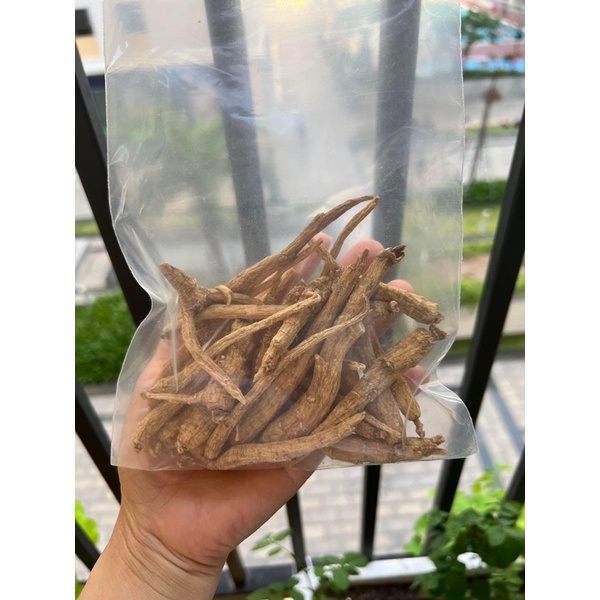Sâm củ Hoa Kỳ 🇺🇸🇺🇸