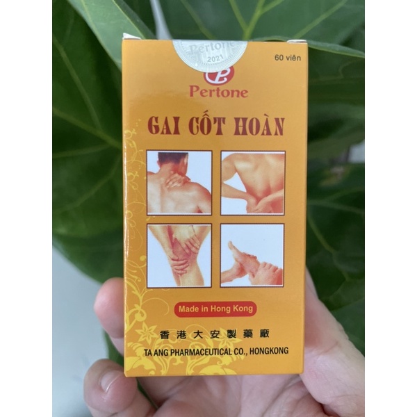 Gai Cốt Hoàn Hỗ Trợ Điều Trị Xương Khớp