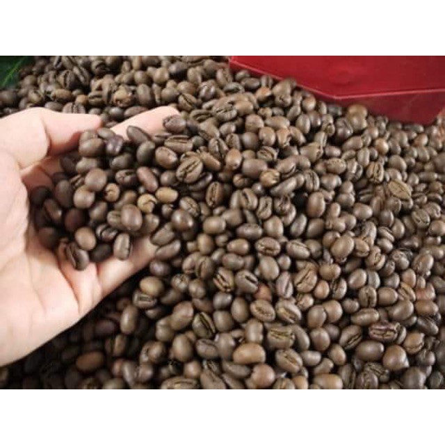 Cà phê hạt rang Robusta Buôn Ma Thuột 500g - The Alpha Coffee