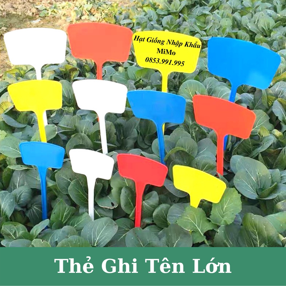 Thẻ ghi tên cây trồng cỡ lớn - Đánh dấu thông tin và trang trí cây trồng, decor sân vườn