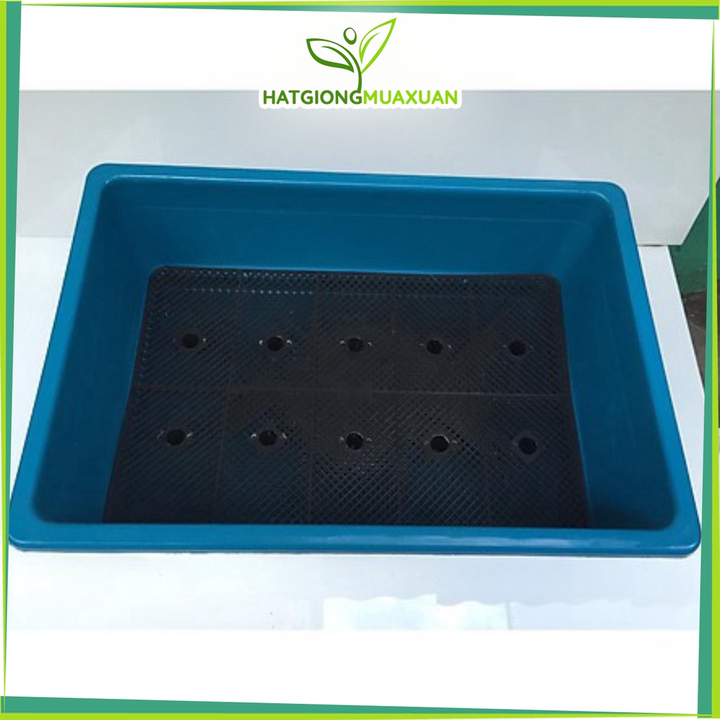Combo 5 Chậu nhựa trồng rau cỡ lớn Khay trồng rau thế hệ mới size 67cm x 42cm x 17cm