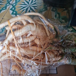 Đinh lăng nguyên củ 1kg.2kg.3kg chuẩn 100% đinh lăng lá nhỏ