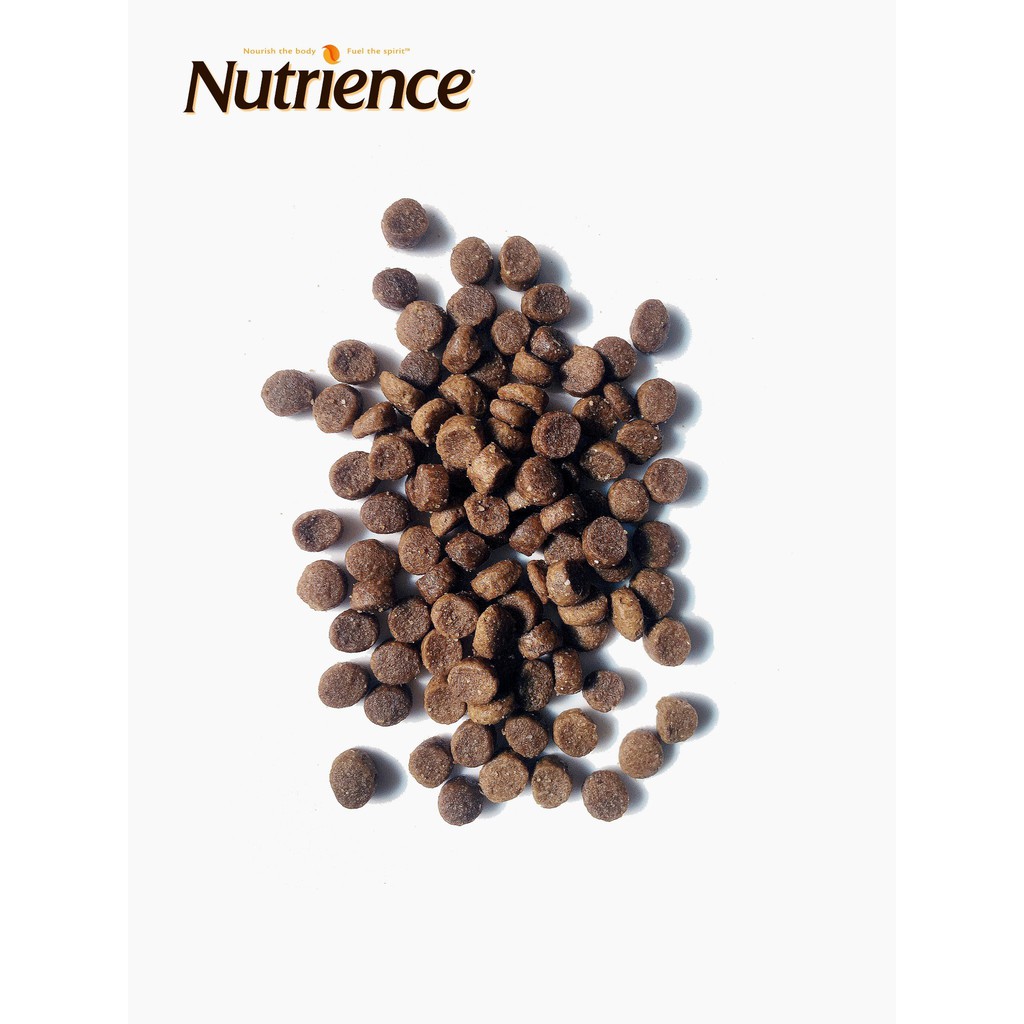 500gr - Hạt Adult Indoor Nutrience Infusion cho Mèo trưởng thành - Nutrience Original Adult Indoor from Canada